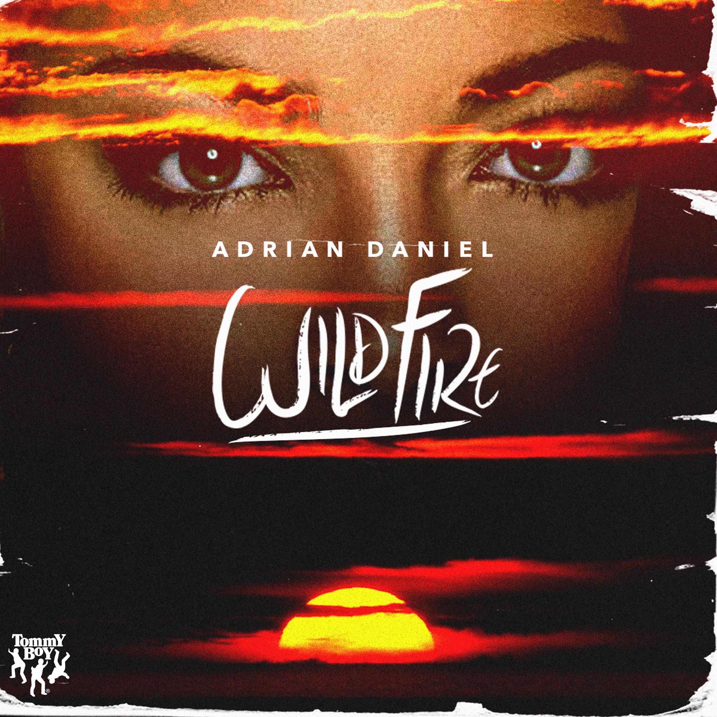 Wildfire(Ben Ashton Remix)