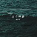 当你不在专辑