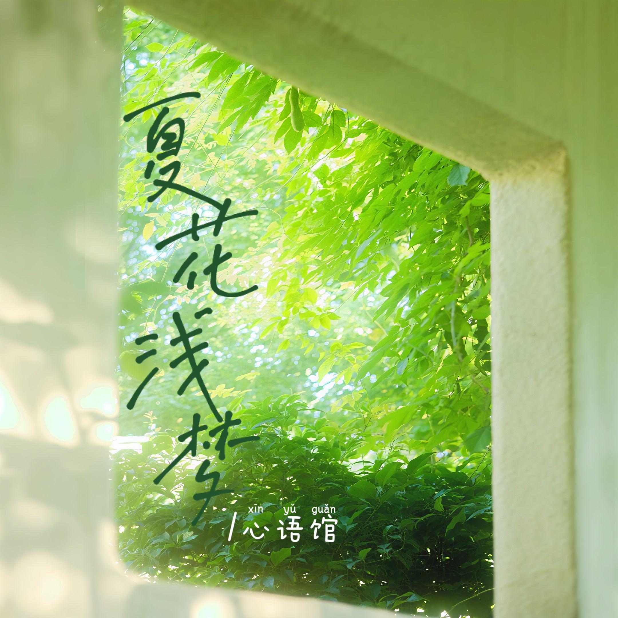 Summer's Fleeting Dream专辑
