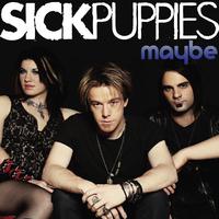 Sick Puppies - Maybe (PT karaoke) 带和声伴奏