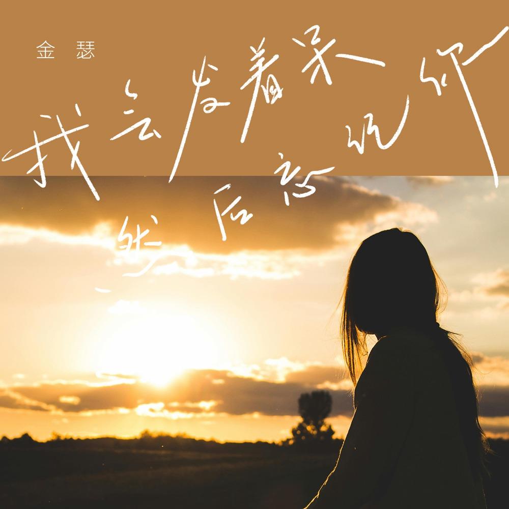 我会发着呆然后忘记你