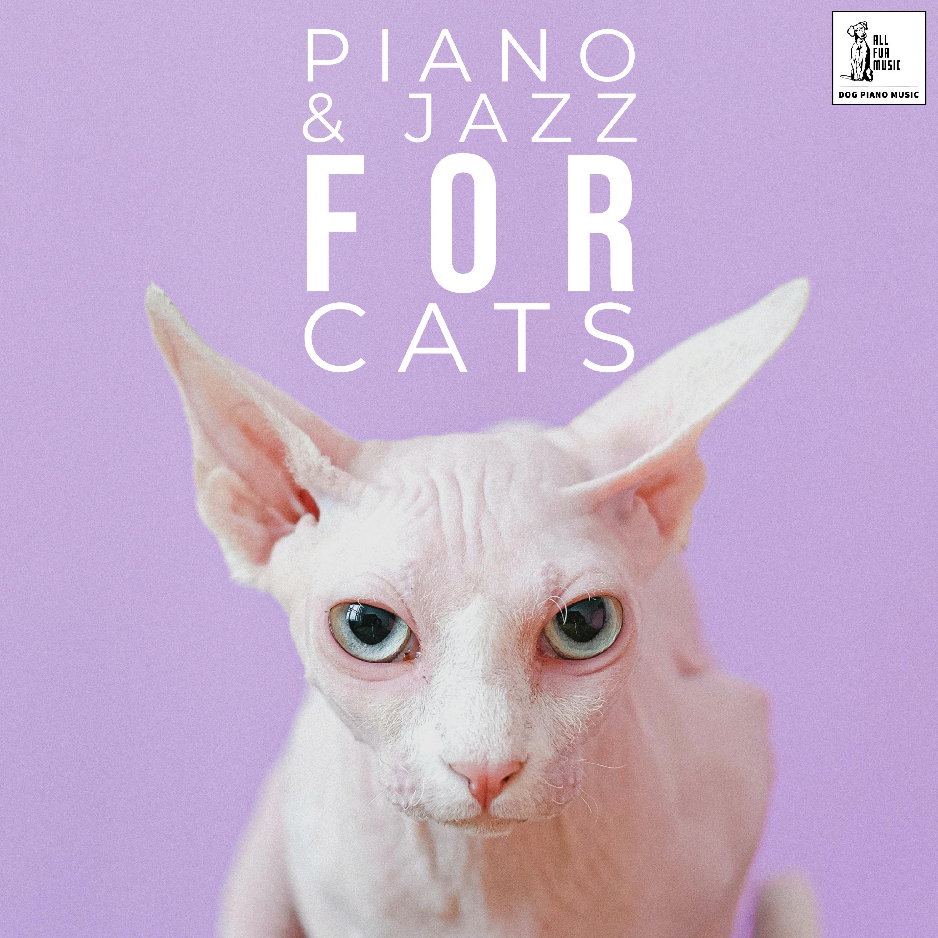 Piano & Jazz For Cats