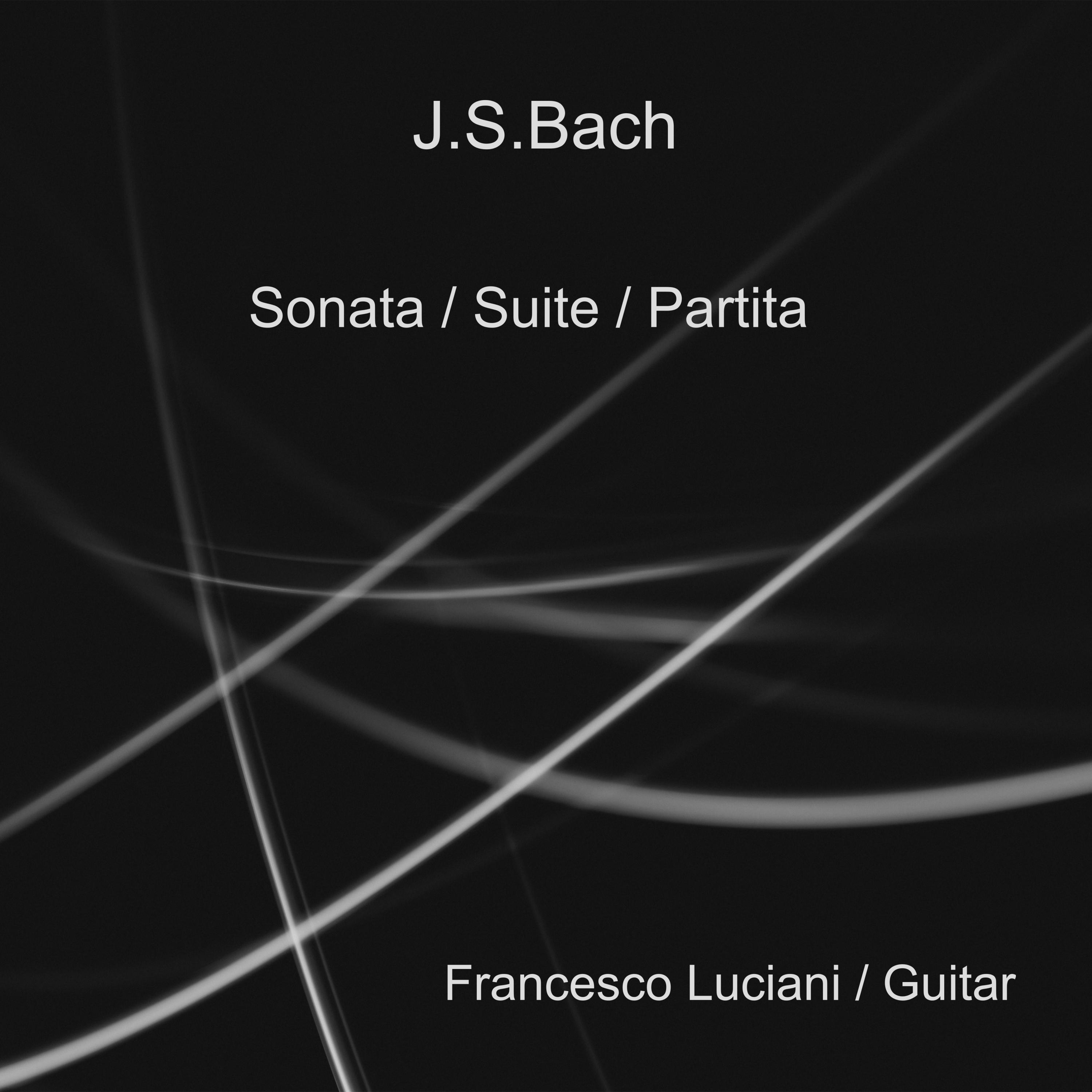 Johann Sebastian Bach by Francesco Luciani