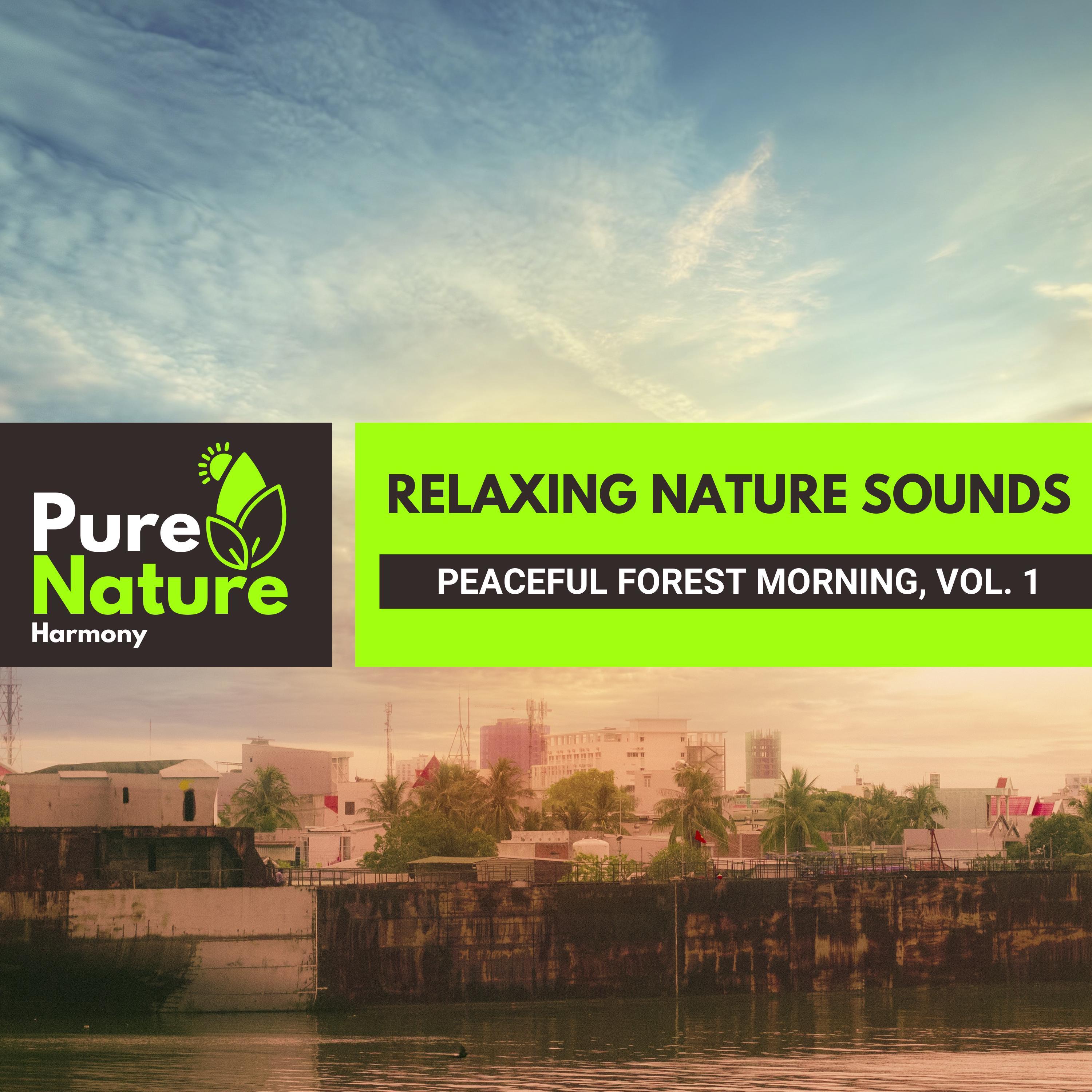 Bright Nature Healing Music - Hushed Breeze Melodies