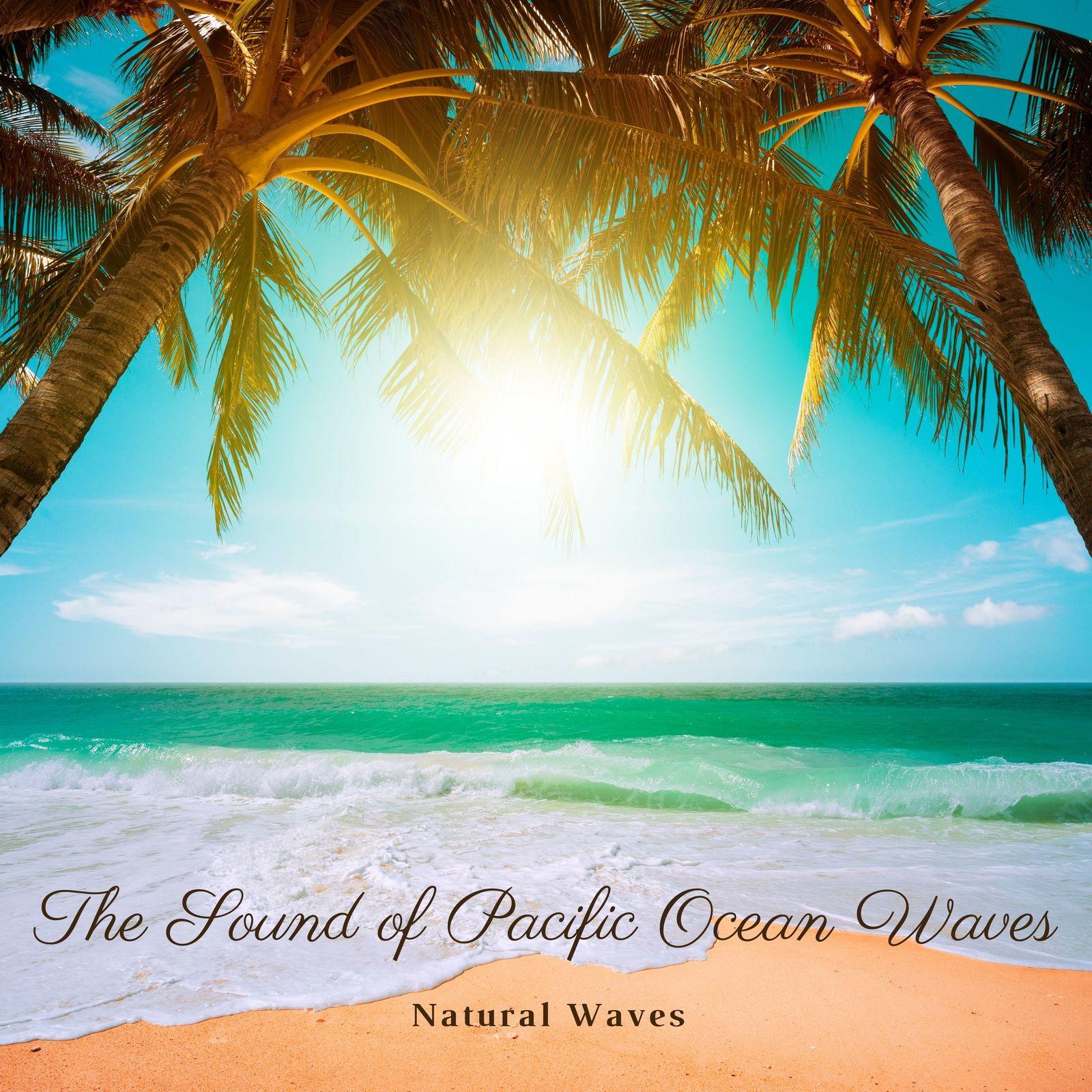The Sound of Pacific Ocean Waves
