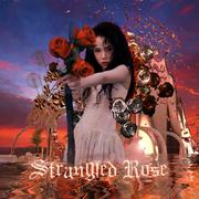 Strangled Rose