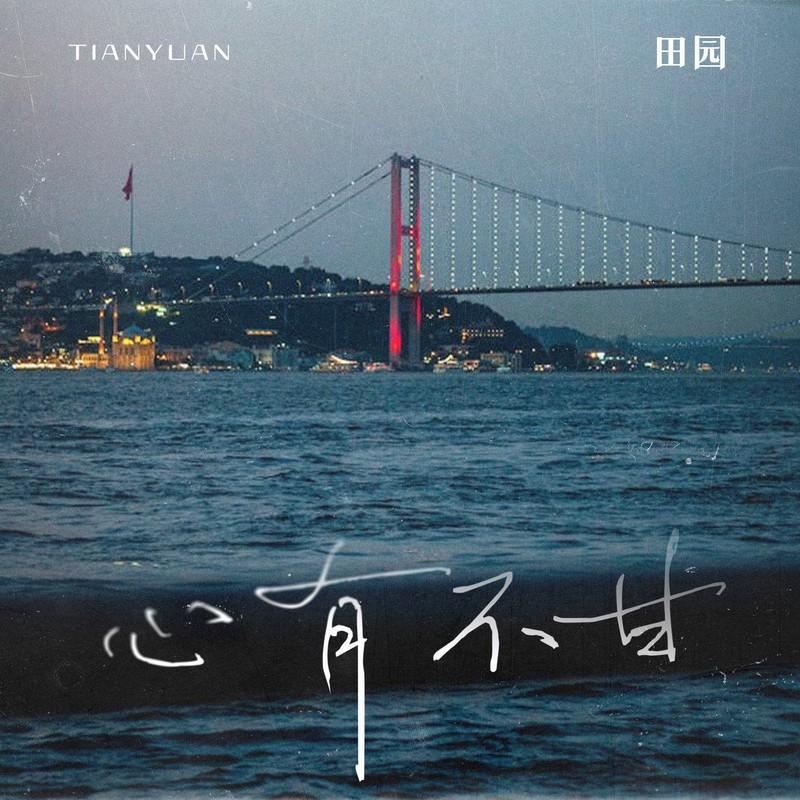 心有不甘 (DJ版)