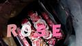 ROSE专辑