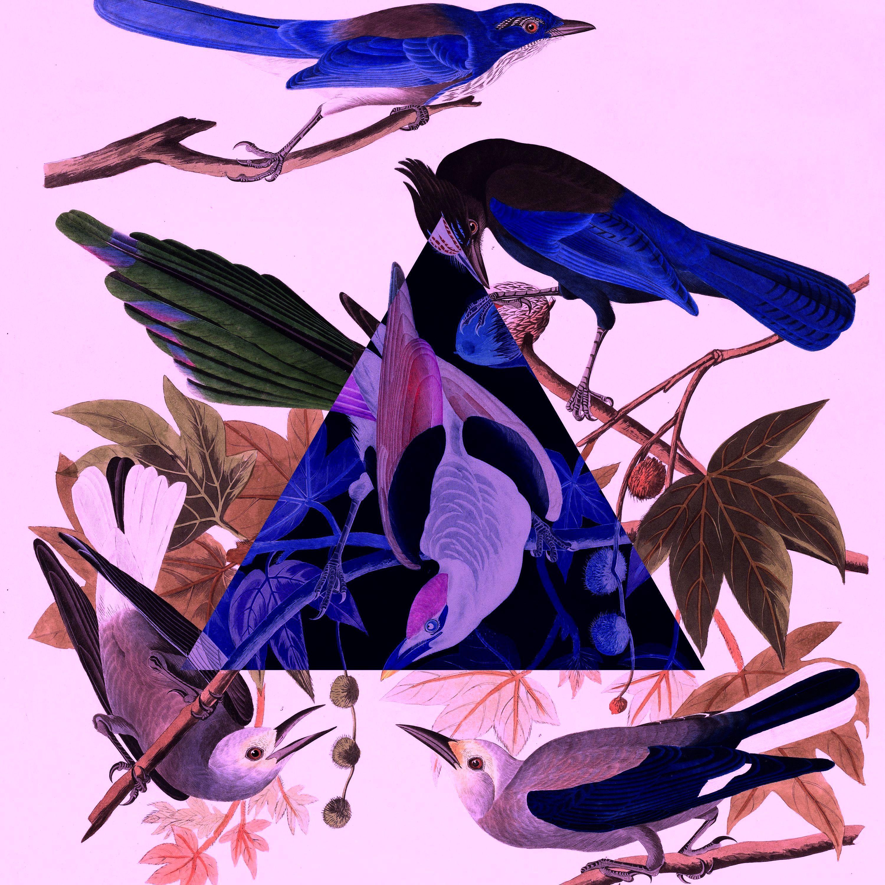 Poster Streaming
