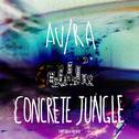 Concrete Jungle (Empire 1 Remix)专辑