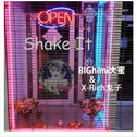 Shake It专辑