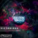 Victorious (Ansimatik Remix)专辑