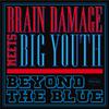 Brain Damage - Beyond the Blue