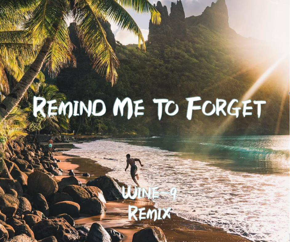 Remind Me To Forget (Wine-9 Remix)专辑