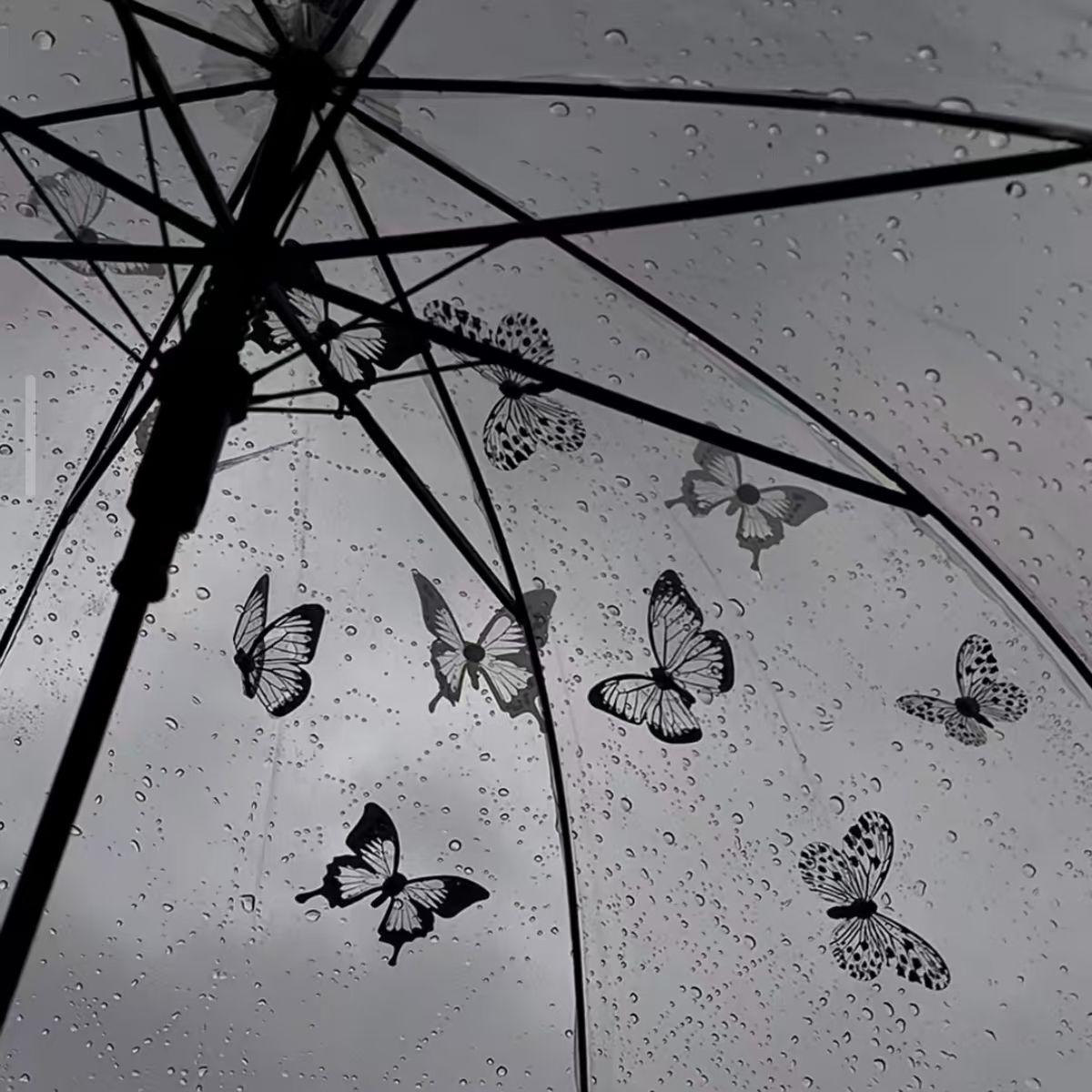 凌晨三点的雨幕