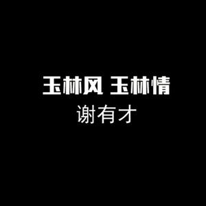 谢有才-玉林风玉林情  立体声伴奏