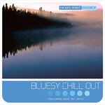 Sacred Spirit, Vol. 9: Bluesy Chill Out专辑