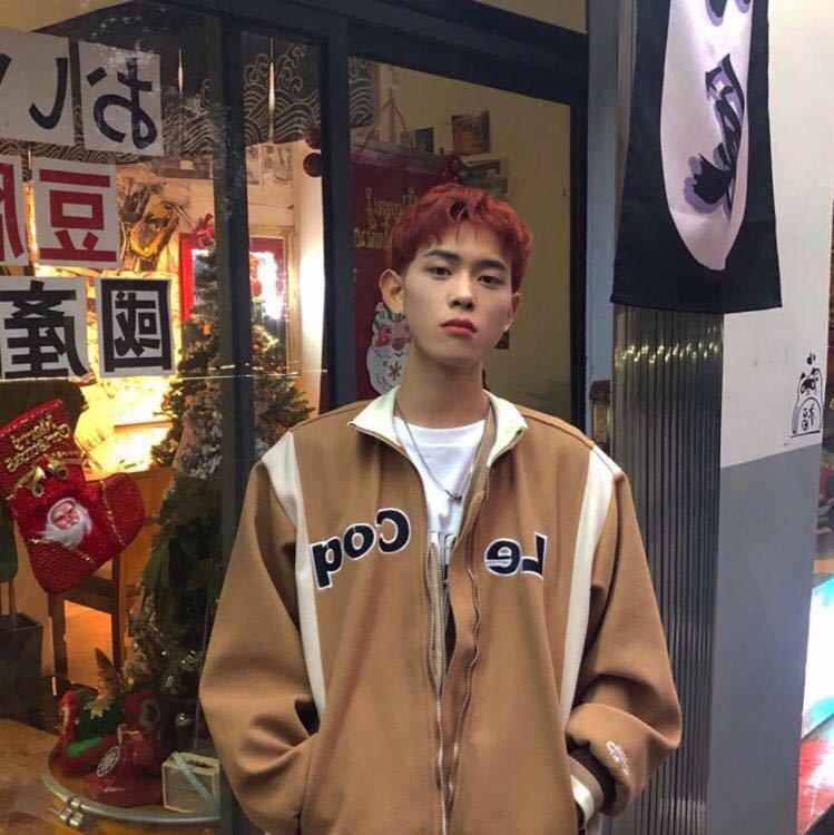 刘大壮.（☁必备）