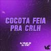 DJ Vilão DS - Cocota Feia pra Crlh