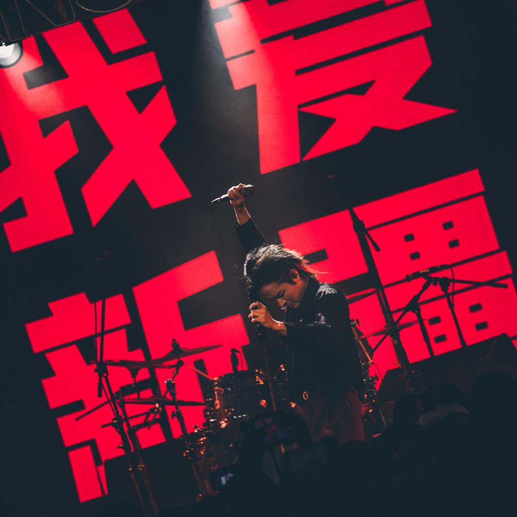 柳爽 | 再见了晚星