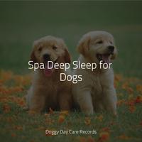 Spa Deep Sleep for Dogs