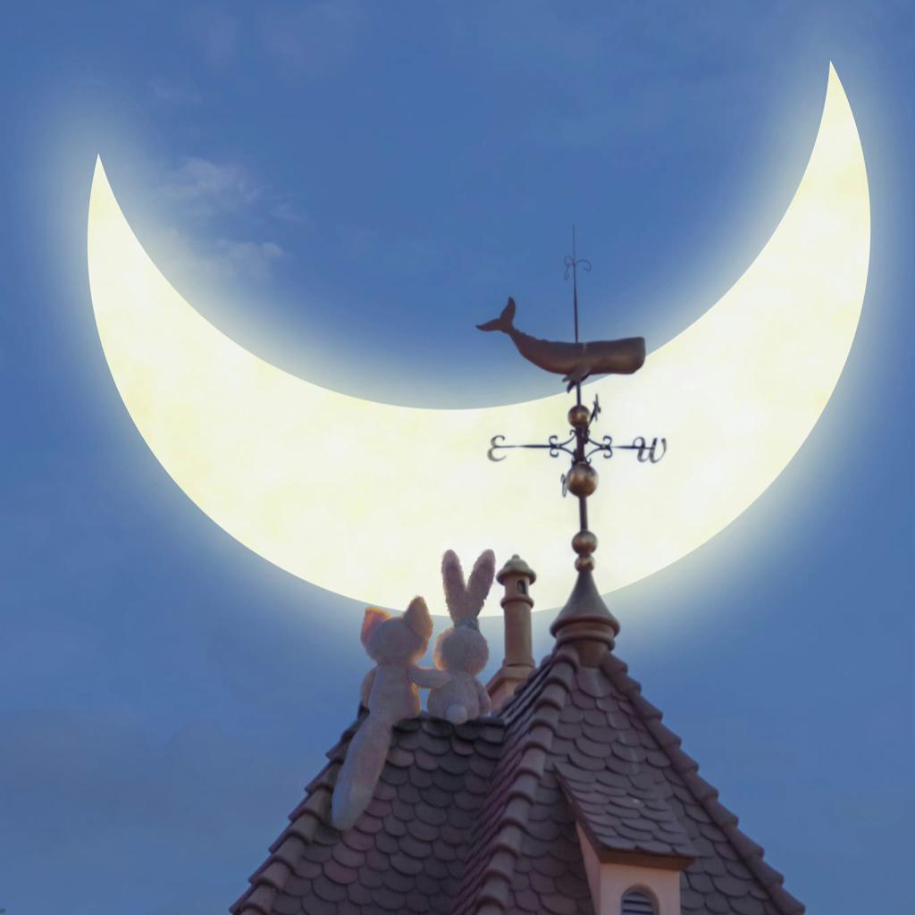 - Moonlight -