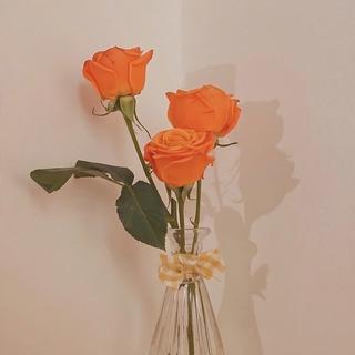 安逸民谣 | 微酣午后的一份心情调味剂