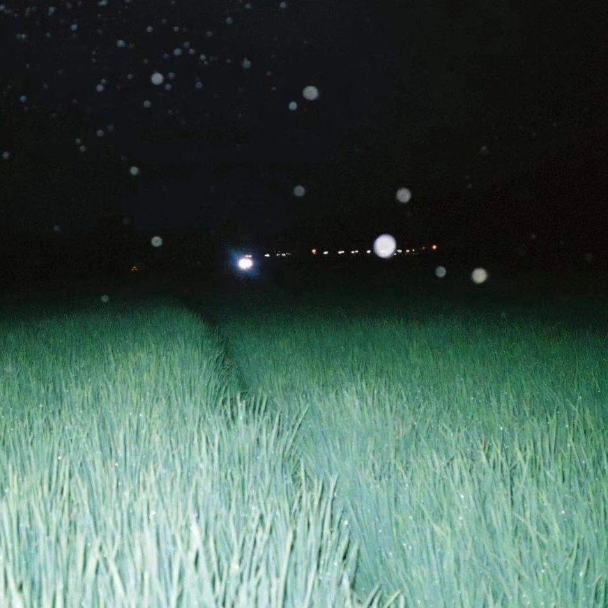 Dream Pop丨游离于幻境的肥皂梦