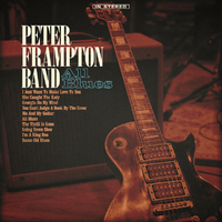 Peter Frampton - Breaking All the Rules (Karaoke Version) 带和声伴奏