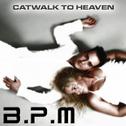 Catwalk to Heaven专辑