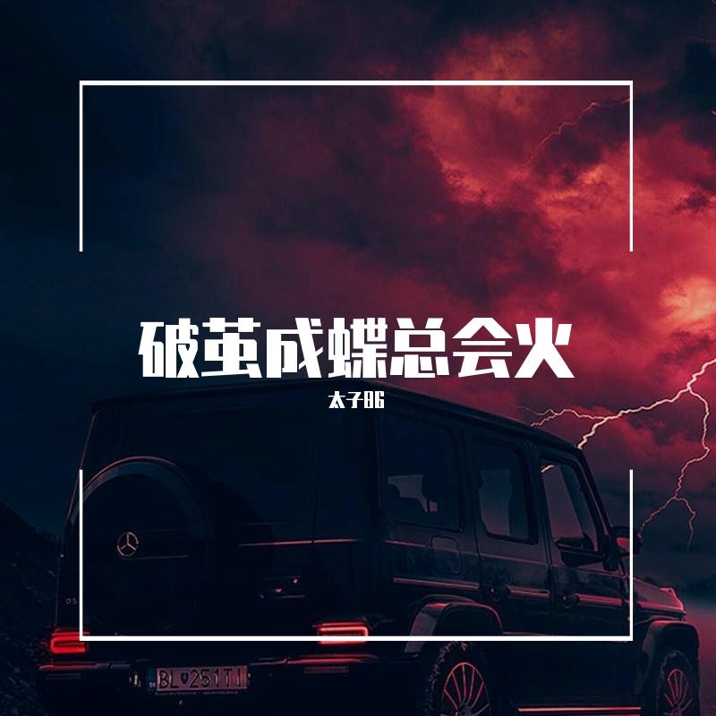 破茧成蝶总会火