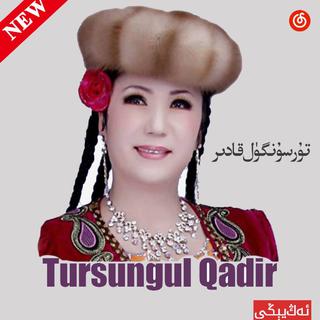 TursungulQadir