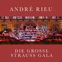 Die Grosse Strauss Gala专辑