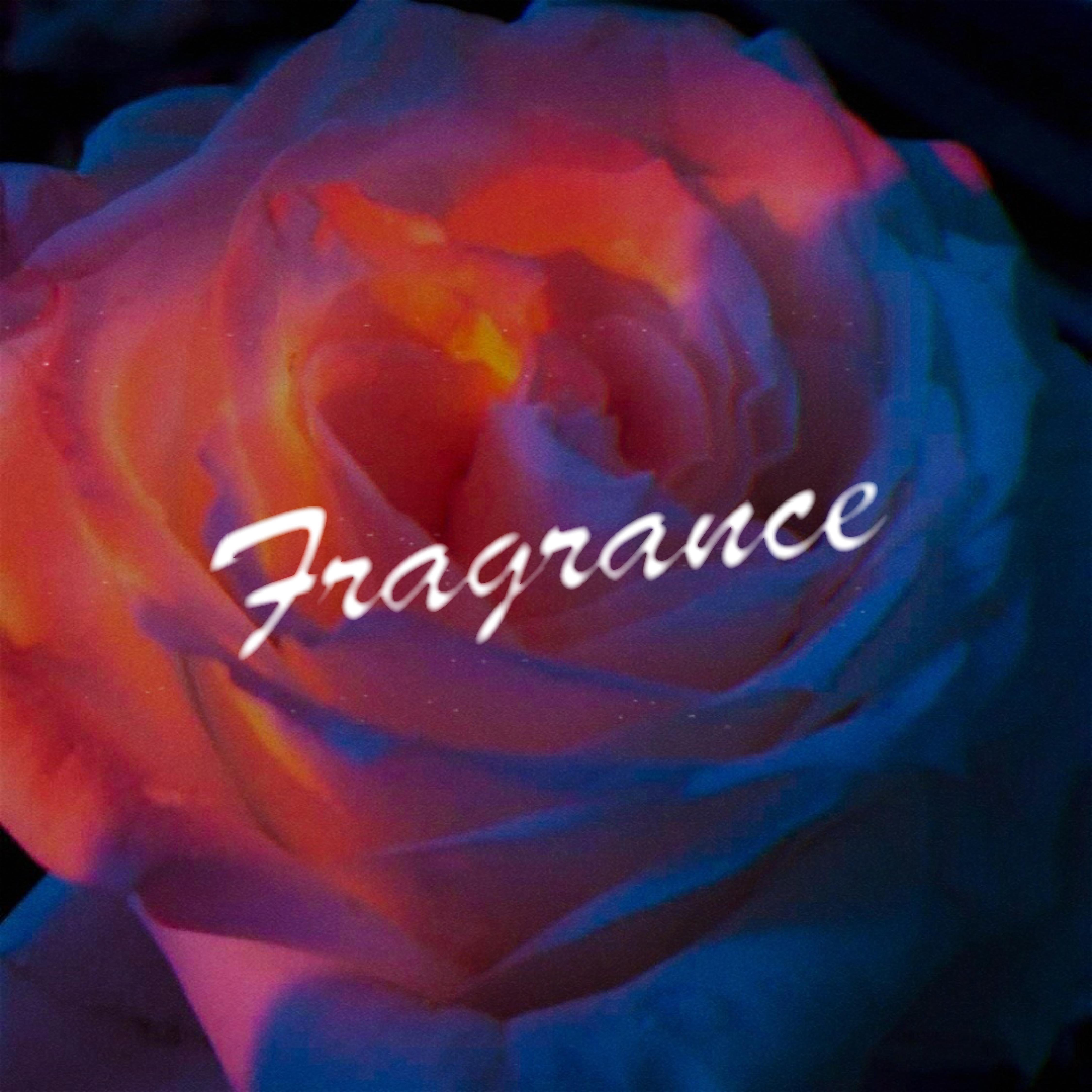 银河骑士GalaxyKnight - Fragrance（Original Mix）