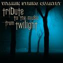 Vitamin String Quartet Performs Music From Twilight专辑