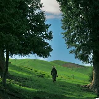 舒缓心情丨给灵魂片刻的栖息与清净