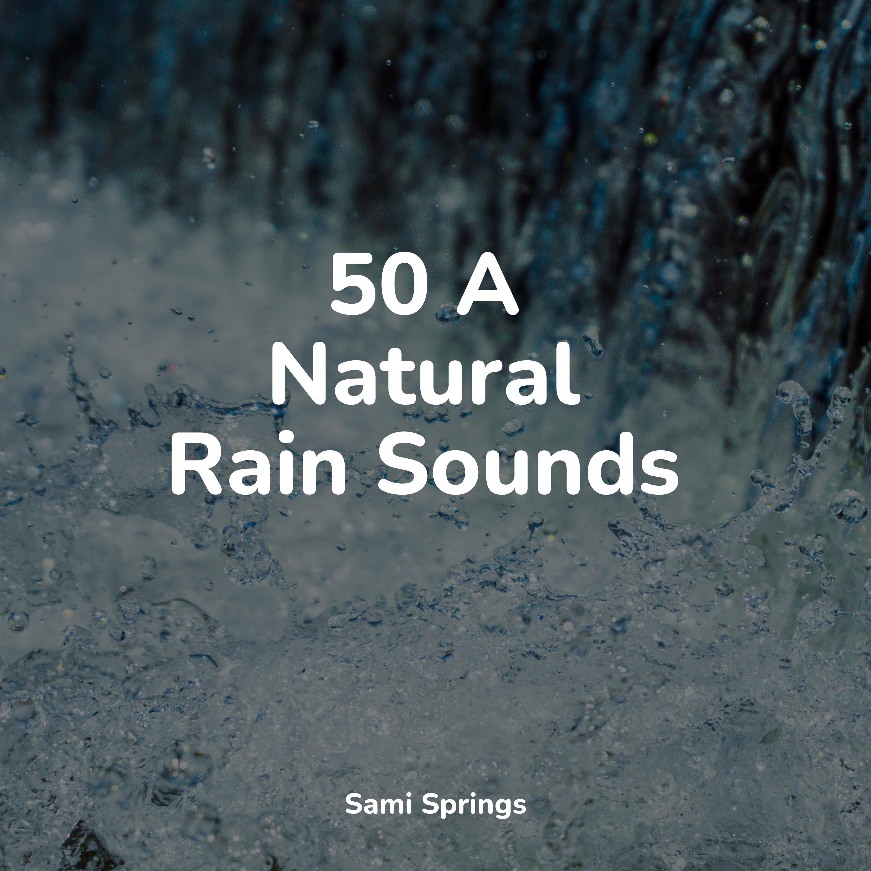 Weather Sounds - Rainy Night