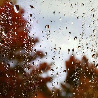 『华语』当歌曲融入雨声元素