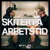 Mr. P - SKITER PÅ ARBETSTID