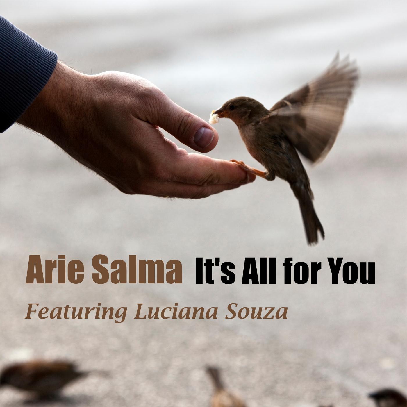 It's All for You (feat. Luciana Souza)