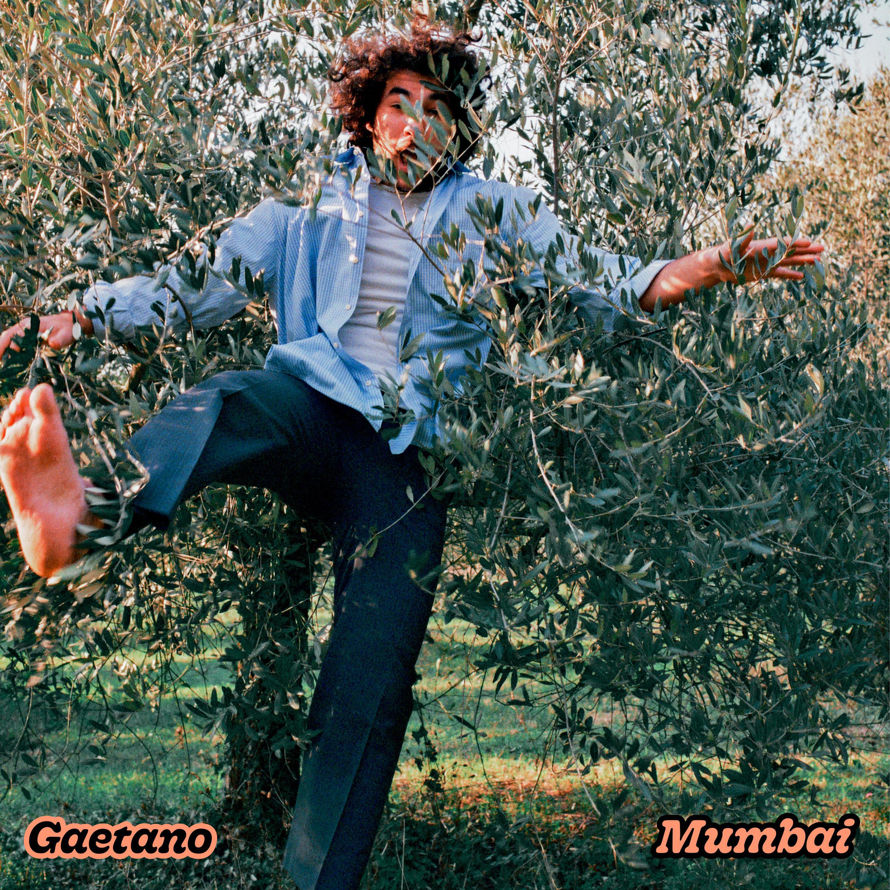 Gaetano - Mumbai