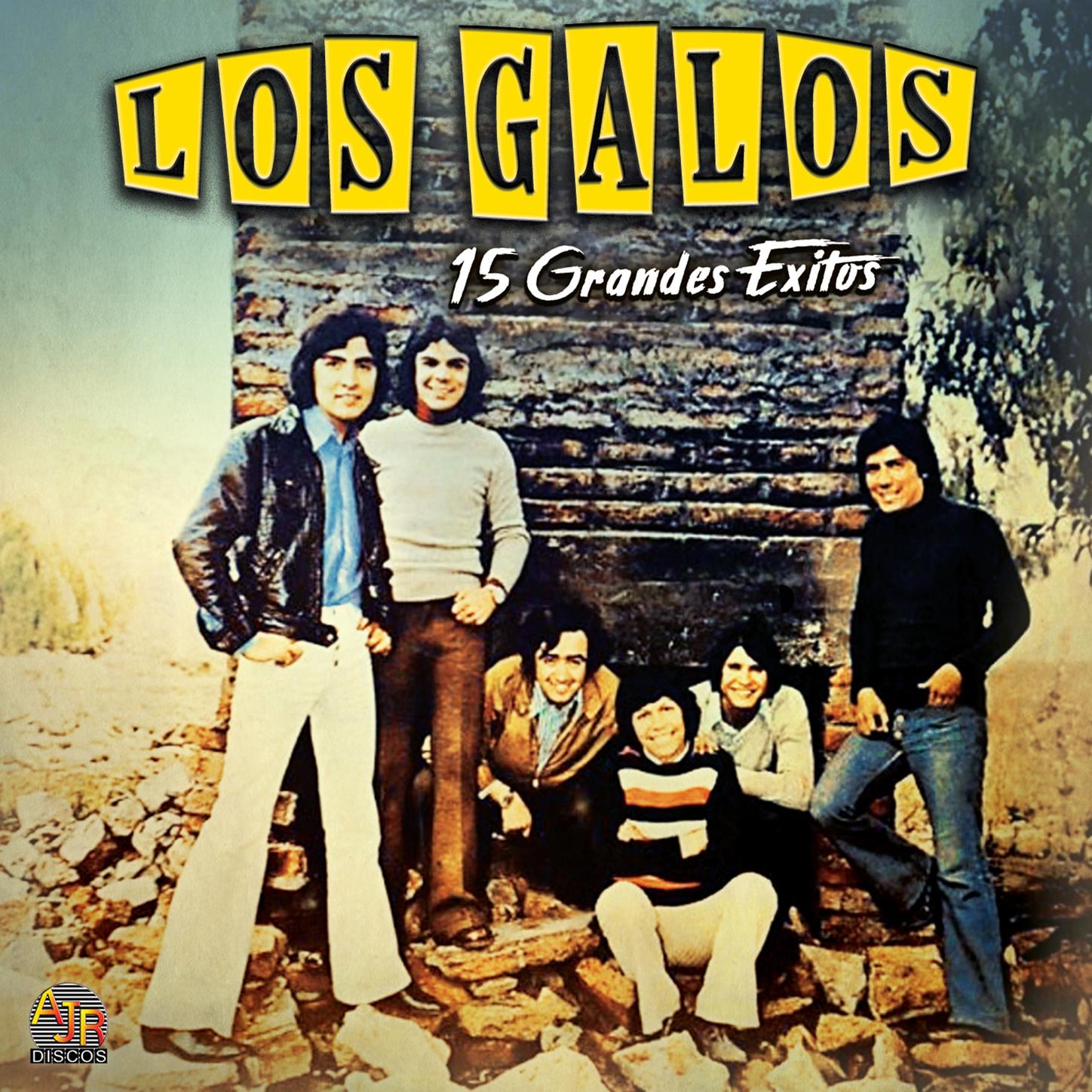 15 Grandes Exitos