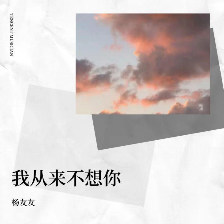 我从来不想你