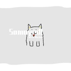 Samoyed!