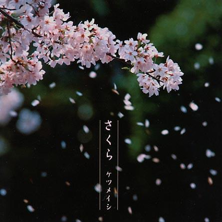 日本乐器大师集
