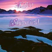 Snowfield