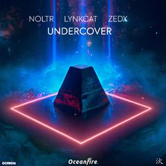 Undercover (Extended Mix)