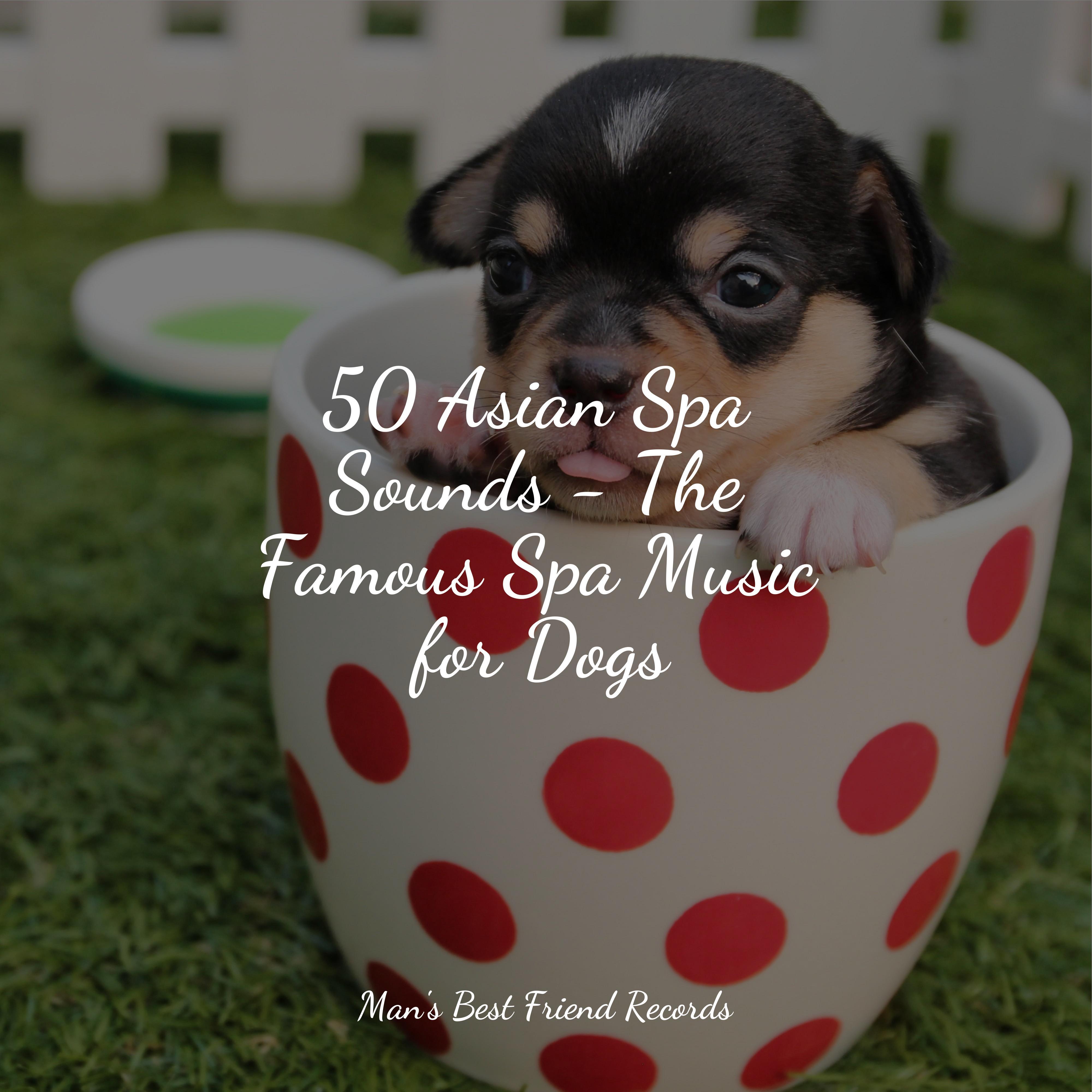 Music for Pets Library - At Ease