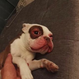 土木三班陈同学