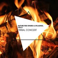 Tribal Concert - Nature Fire Sparks & Splashes, Vol.8